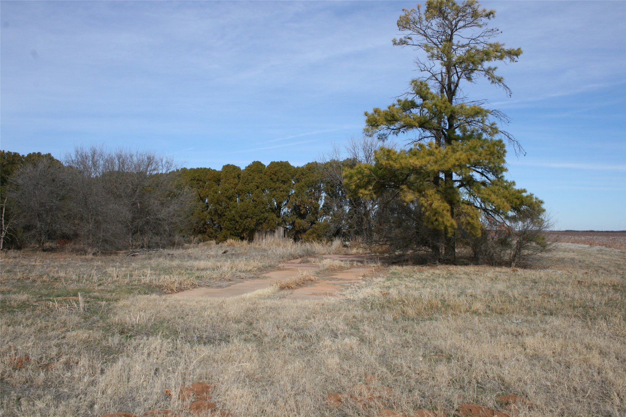 00FM 266 Fm266 Corner Goree TX 76363