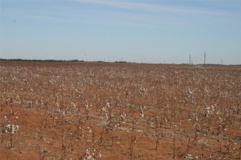 00FM 266 Fm266 Corner Goree TX 76363