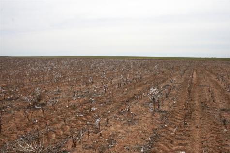 0FM 266 FM266 Corner Goree TX 76363