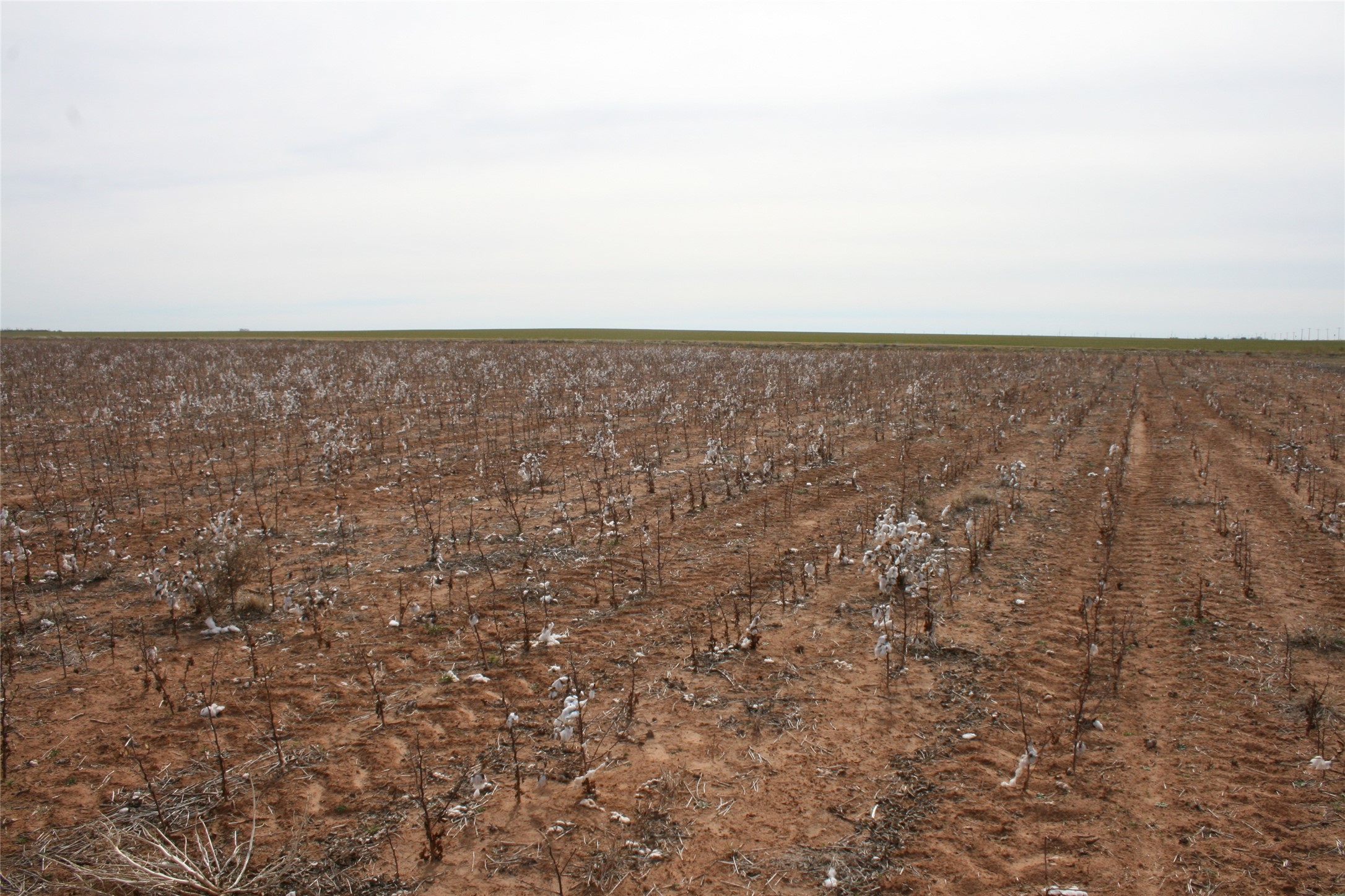 00FM 266 Fm266 Corner Goree TX 76363