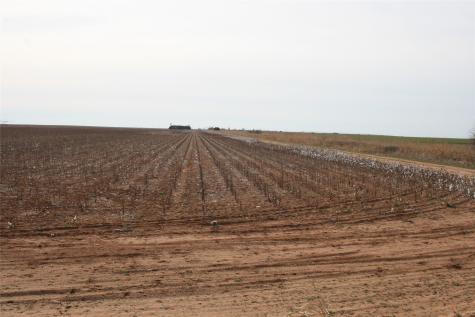 00FM 266 Fm266 Corner Goree TX 76363