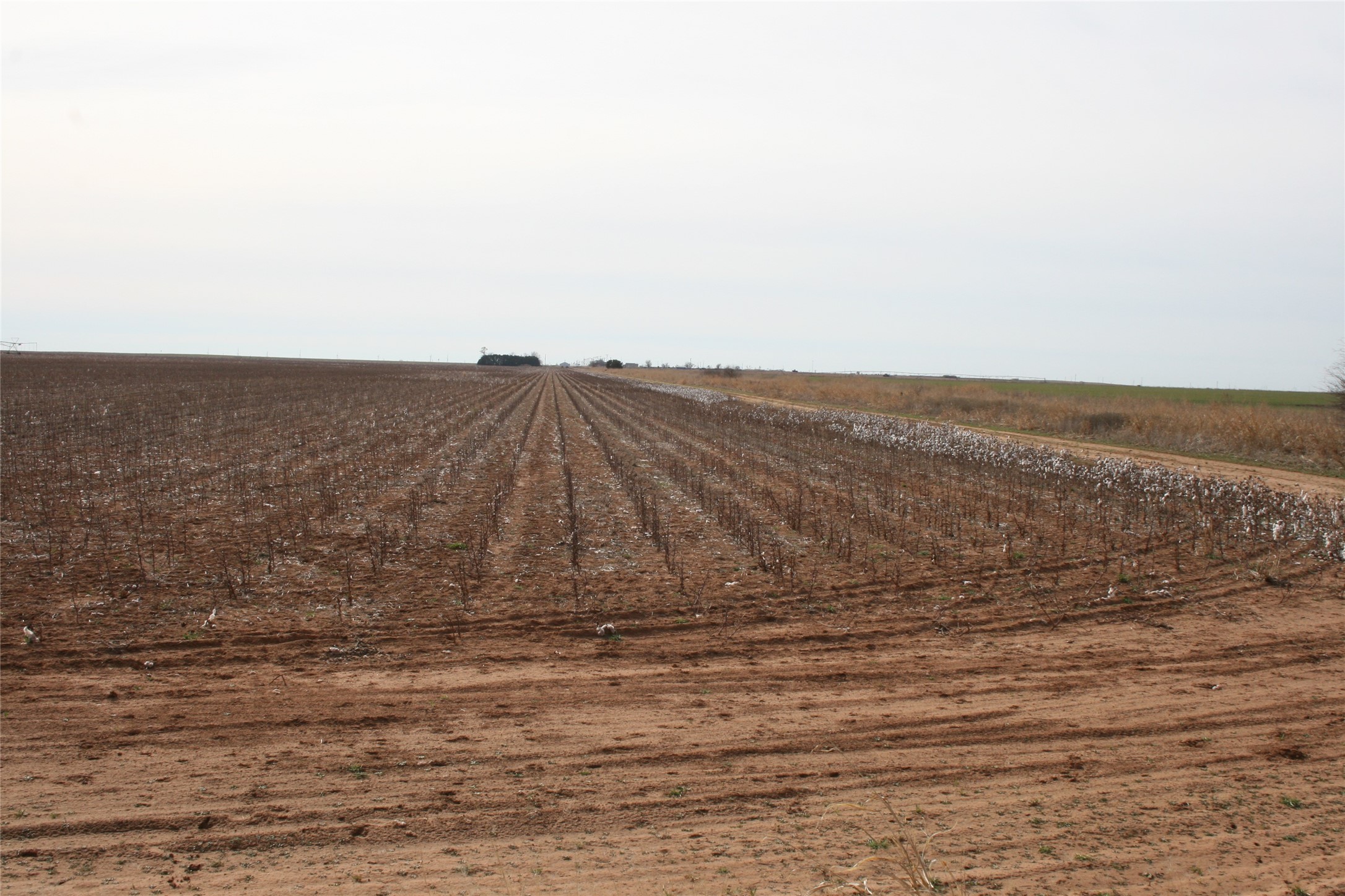 00FM 266 Fm266 Corner Goree TX 76363