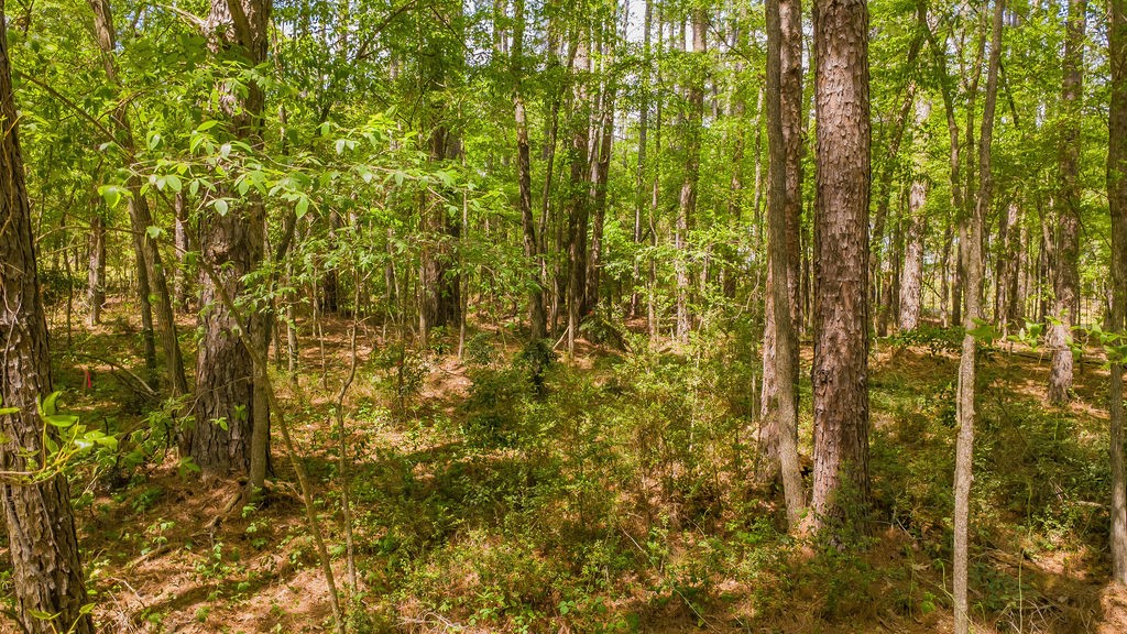 1723 Pineview Lane Hideaway TX 75771