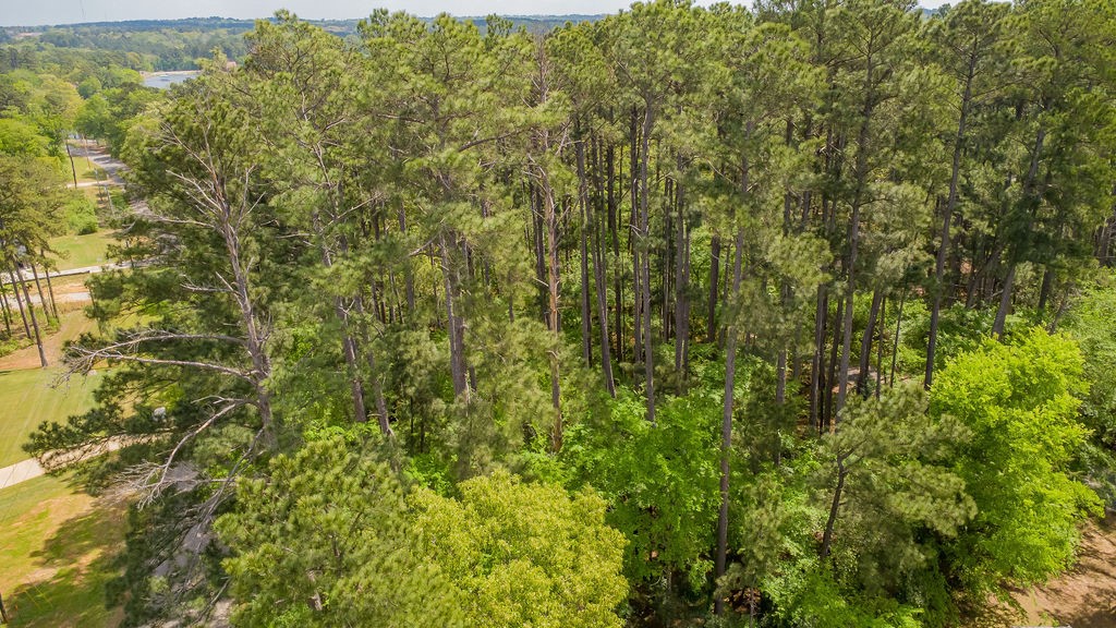 1723 Pineview Lane Hideaway TX 75771