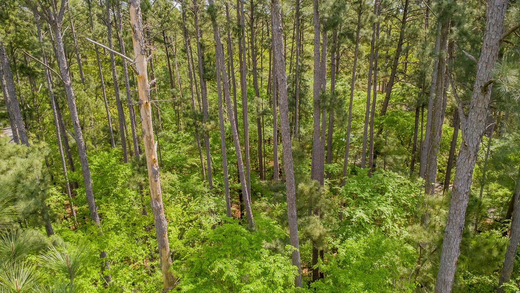 1723 Pineview Lane Hideaway TX 75771