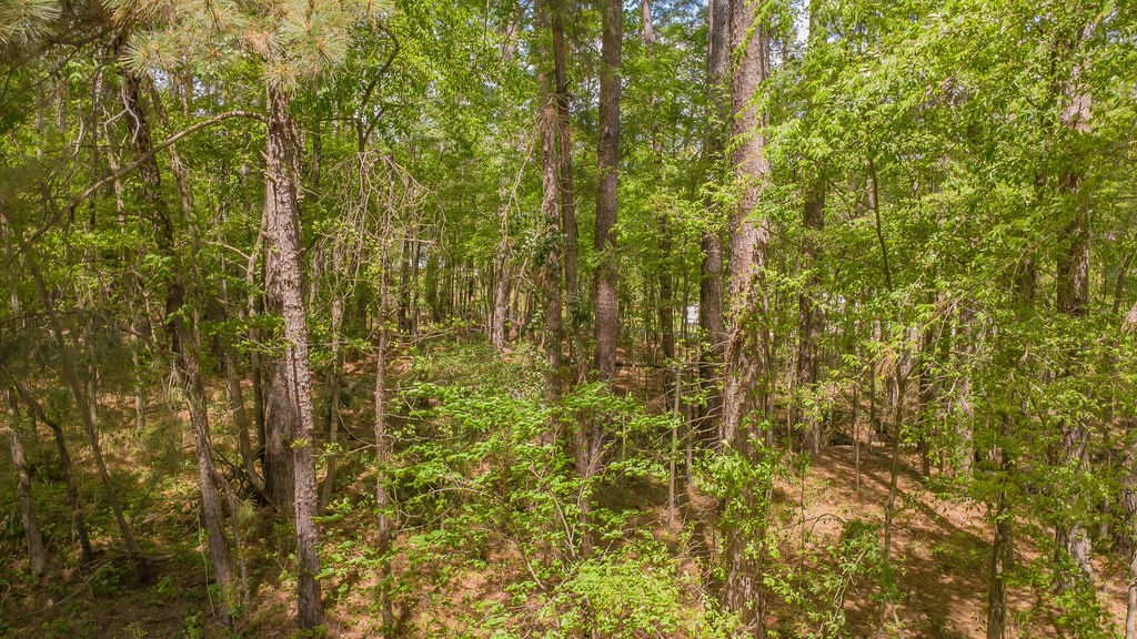 1723 Pineview Lane Hideaway TX 75771