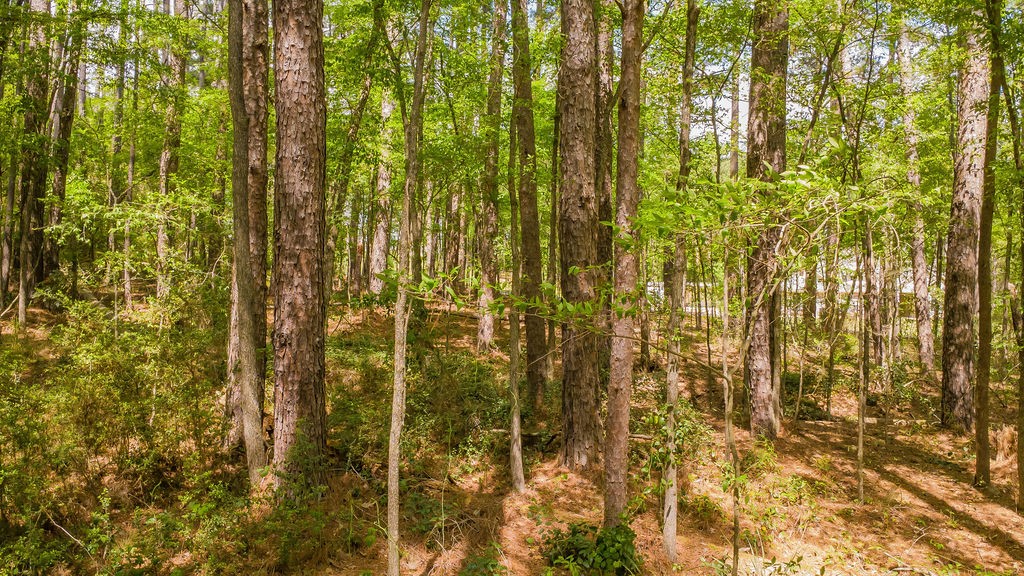 1723 Pineview Lane Hideaway TX 75771