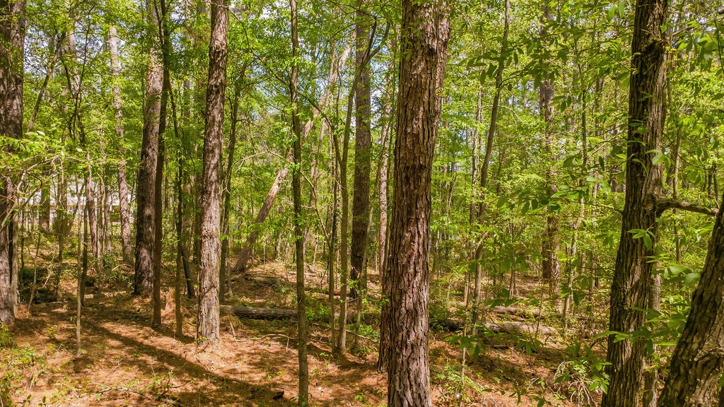 1723 Pineview Lane Hideaway TX 75771