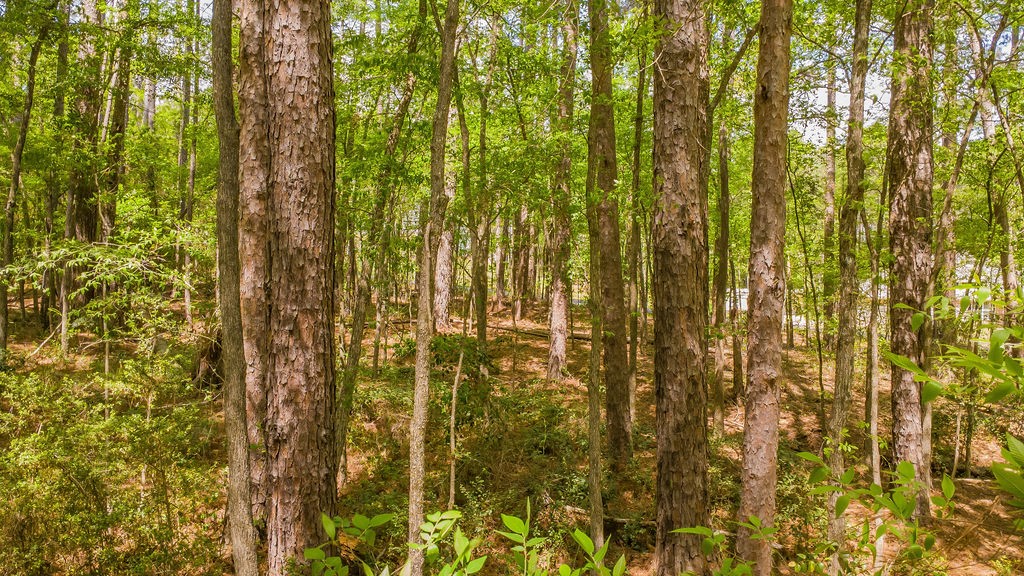 1723 Pineview Lane Hideaway TX 75771