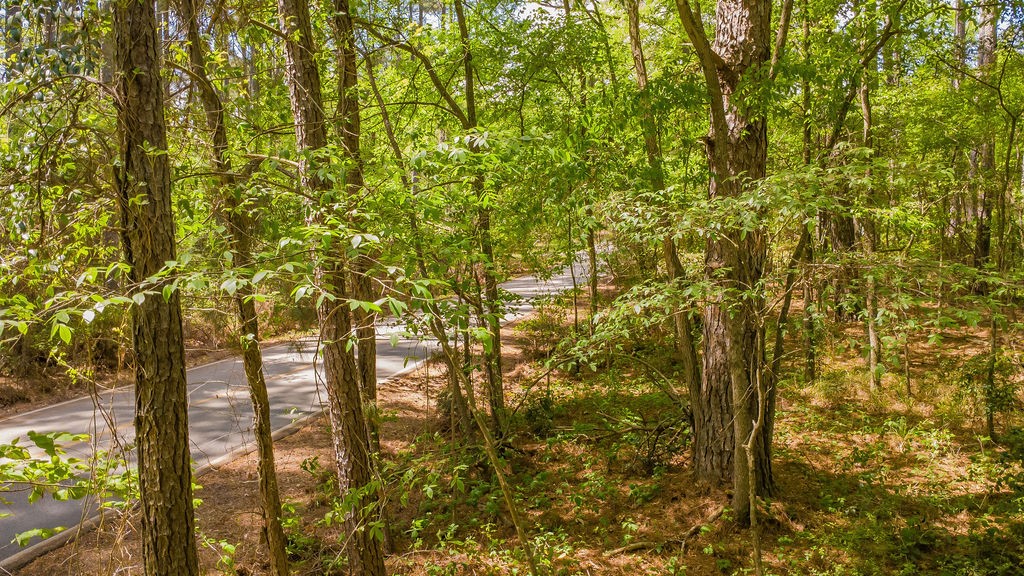 1723 Pineview Lane Hideaway TX 75771