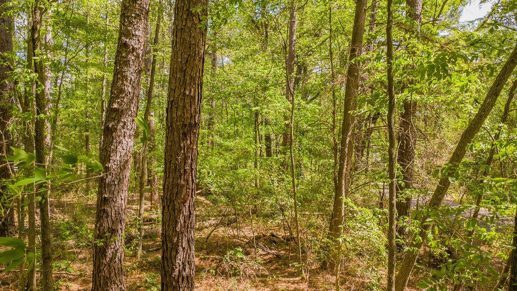 1723 Pineview Lane Hideaway TX 75771