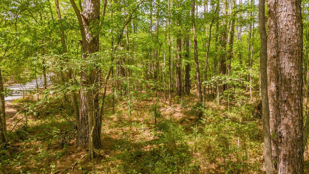 1723 Pineview Lane Hideaway TX 75771