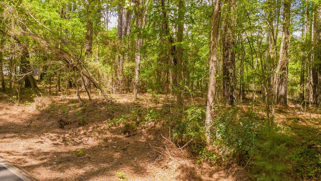 1723 Pineview Lane Hideaway TX 75771