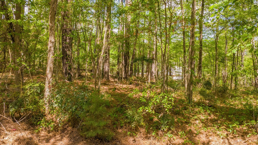 1723 Pineview Lane Hideaway TX 75771