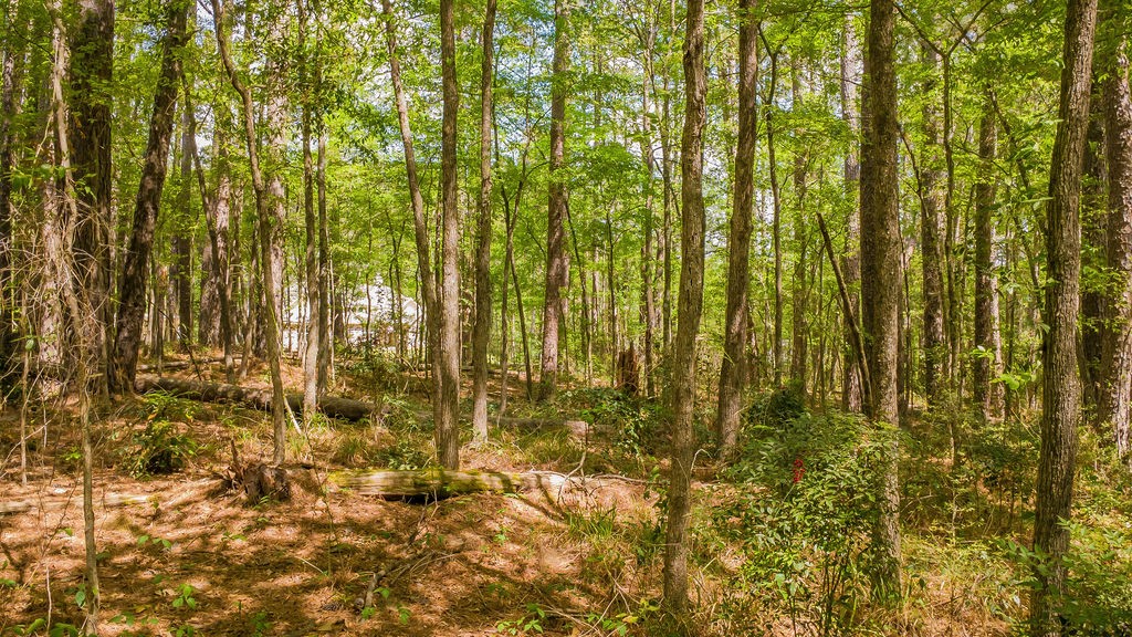 1723 Pineview Lane Hideaway TX 75771
