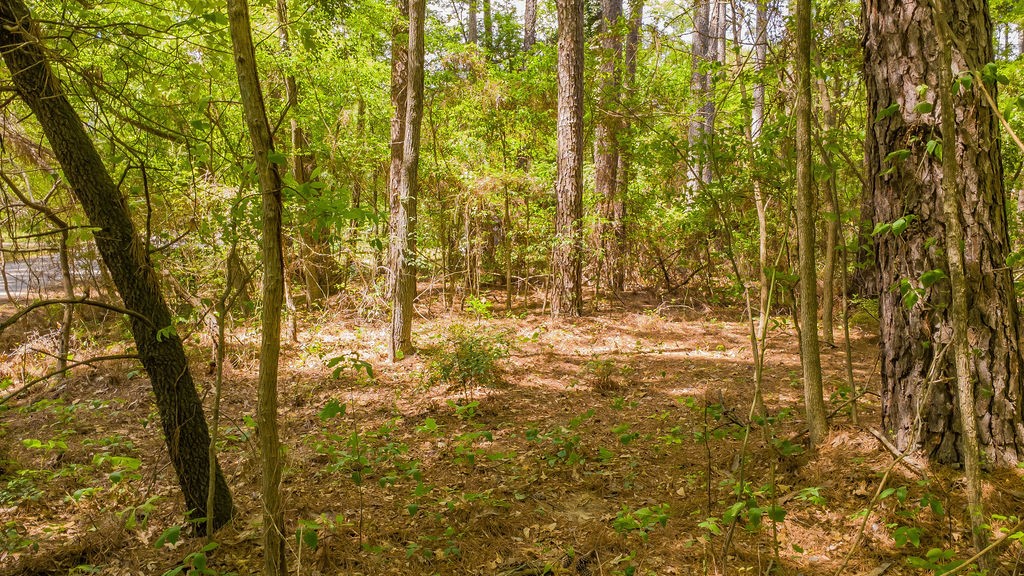 1723 Pineview Lane Hideaway TX 75771