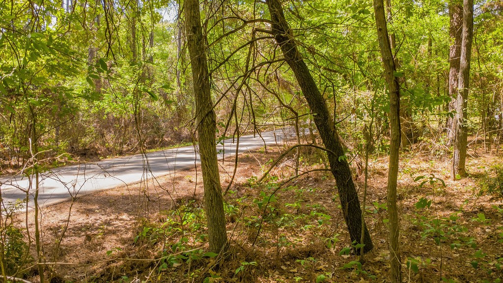 1723 Pineview Lane Hideaway TX 75771