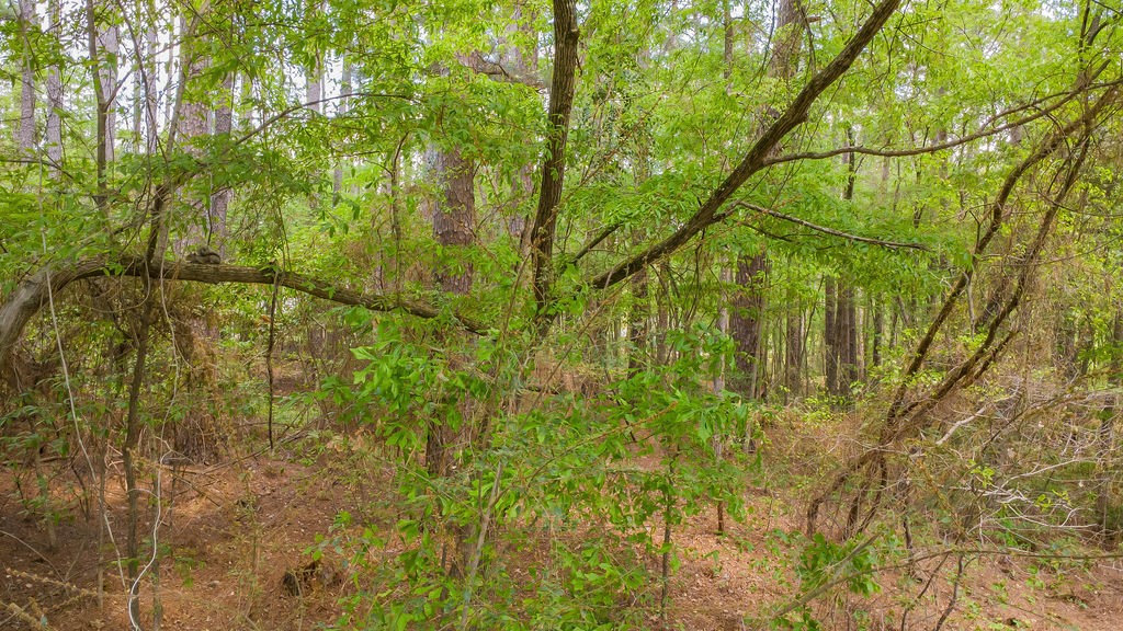 1723 Pineview Lane Hideaway TX 75771