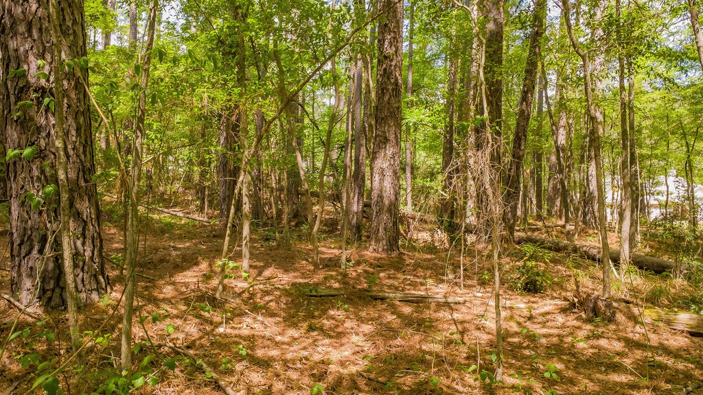 1723 Pineview Lane Hideaway TX 75771