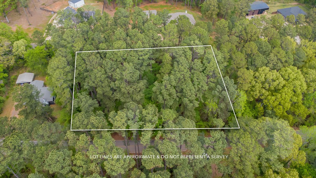 1723 Pineview Lane Hideaway TX 75771