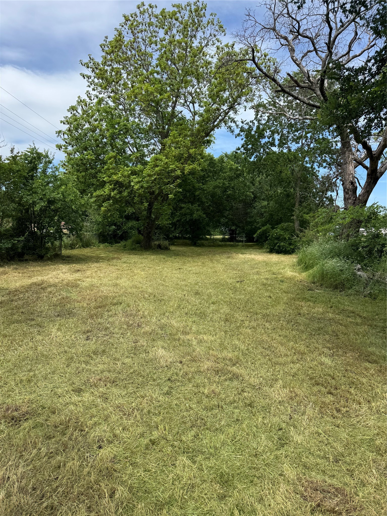 1733 S Lindsay Street Gainesville TX 76240