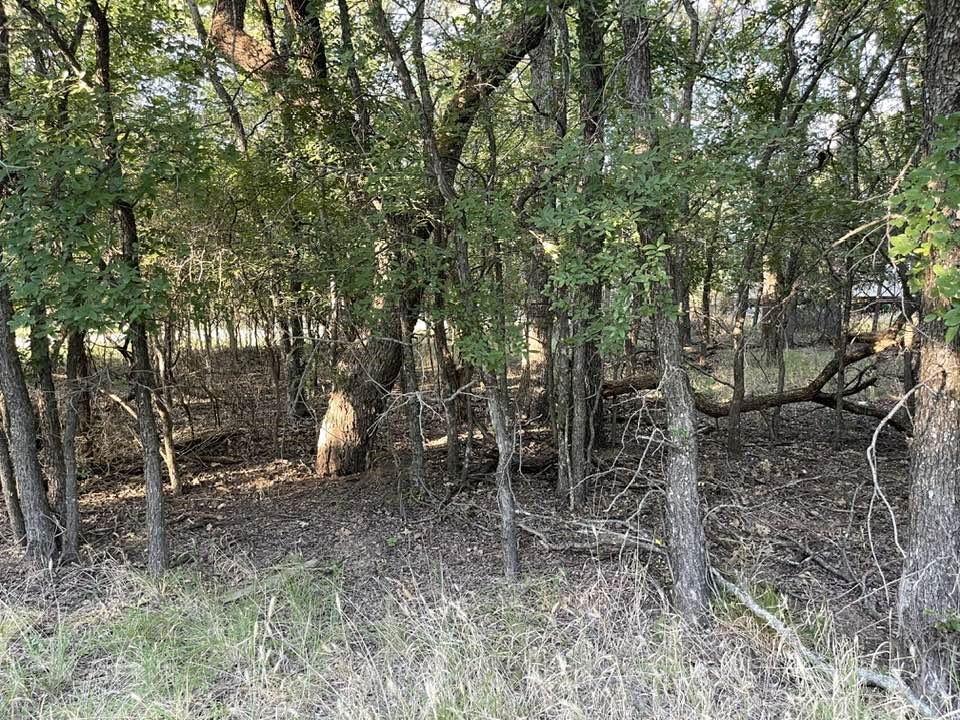 622 Cypress Drive May TX 76857