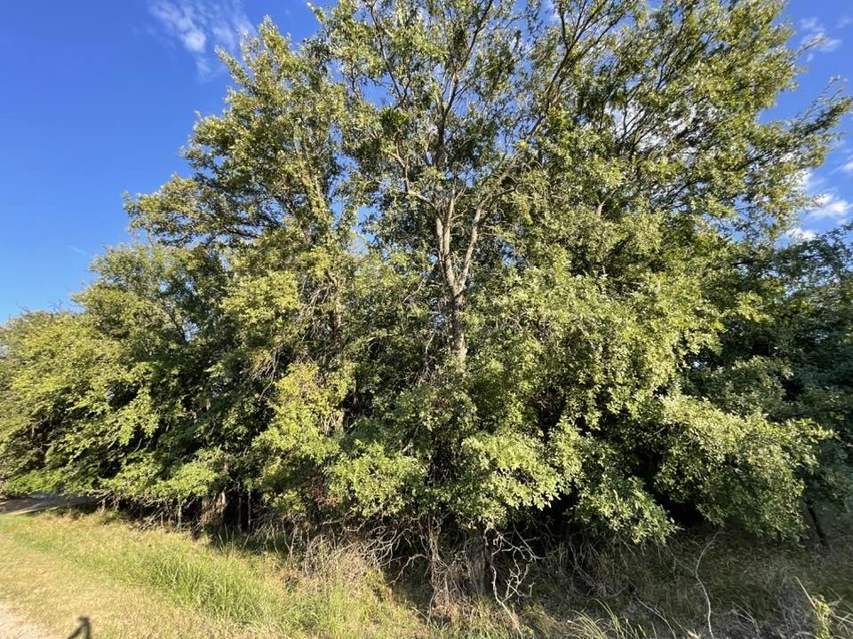 622 Cypress Drive May TX 76857