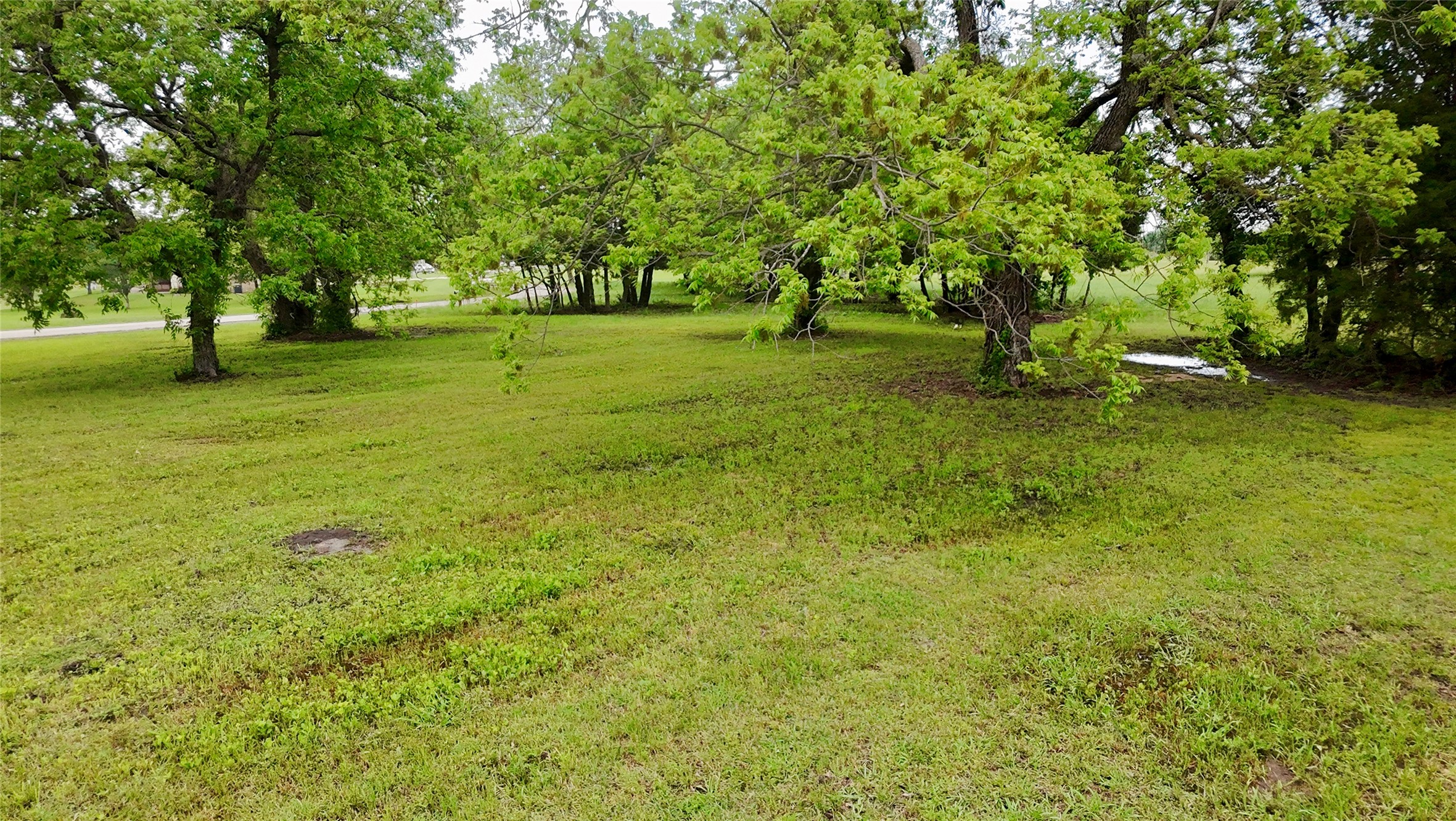 Lot 71 Shoreline Road Kerens TX 75144