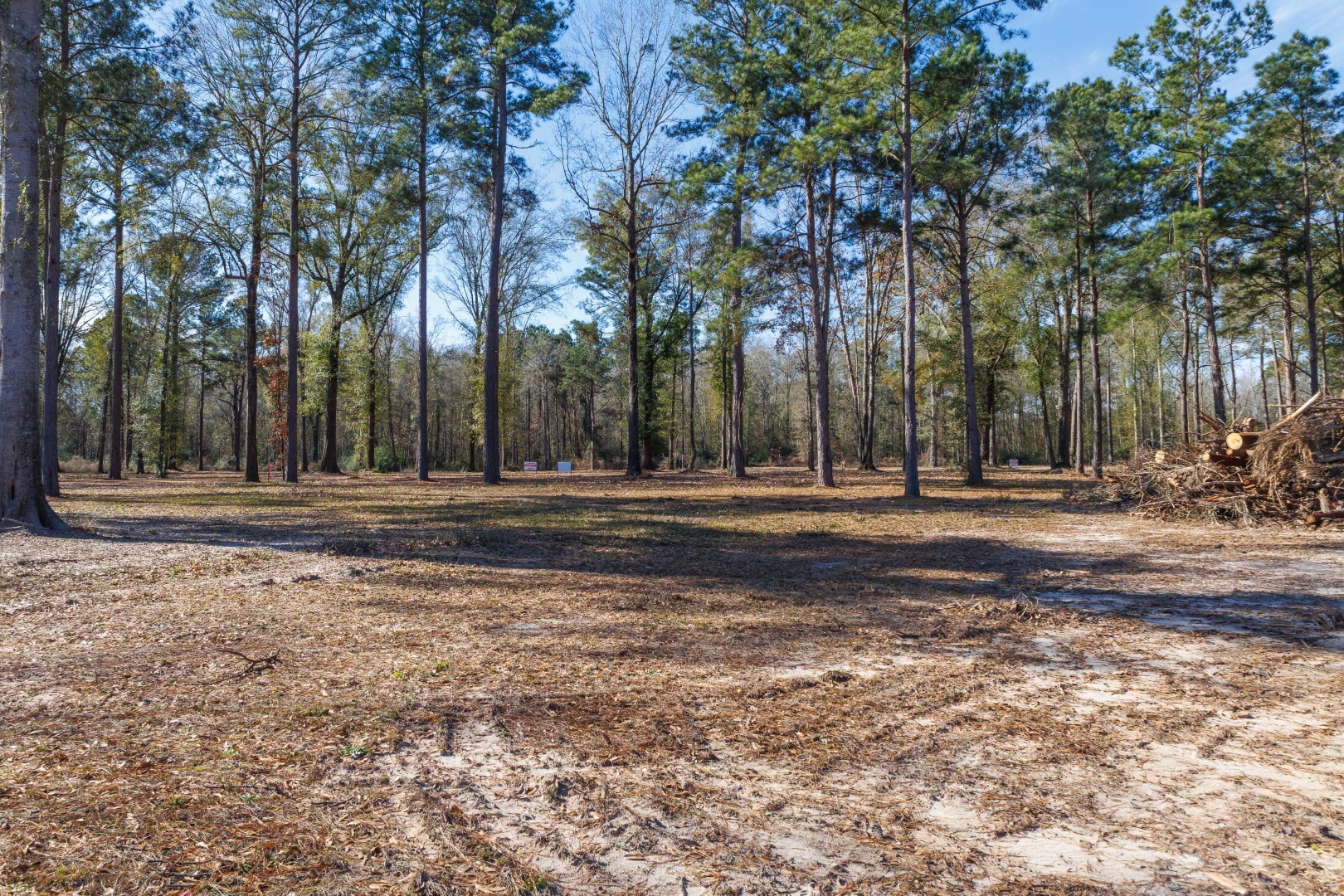 Tbd (Lot 3) County Road 3545 Joaquin TX 75954