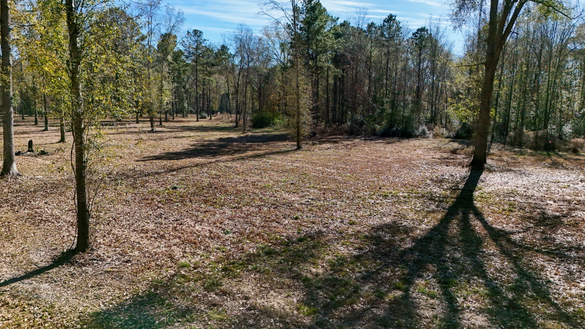 Tbd (Lot 3) County Road 3545 Joaquin TX 75954