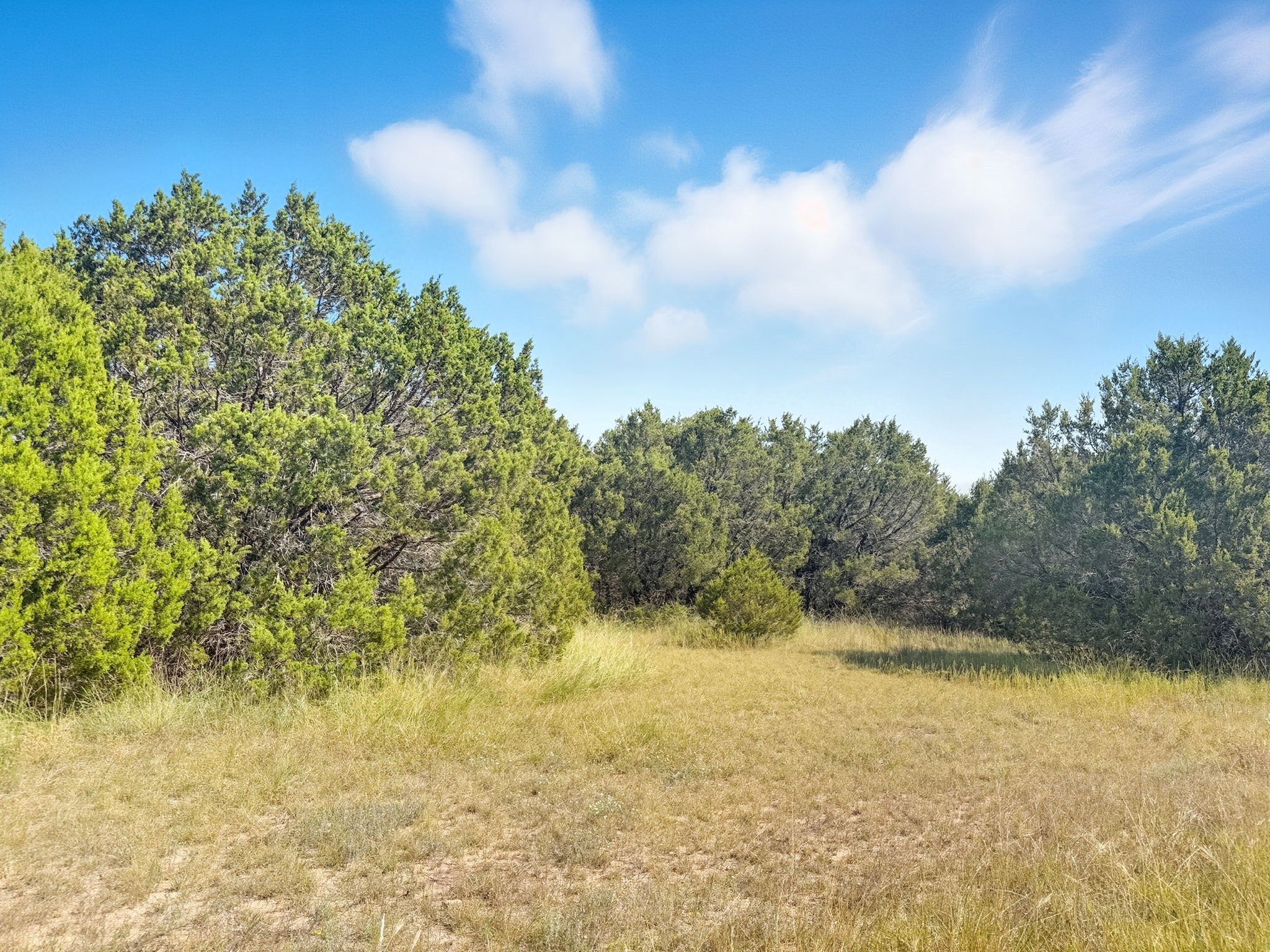 Lot 2 Ph 3 Pr 42110 Evant TX 76525