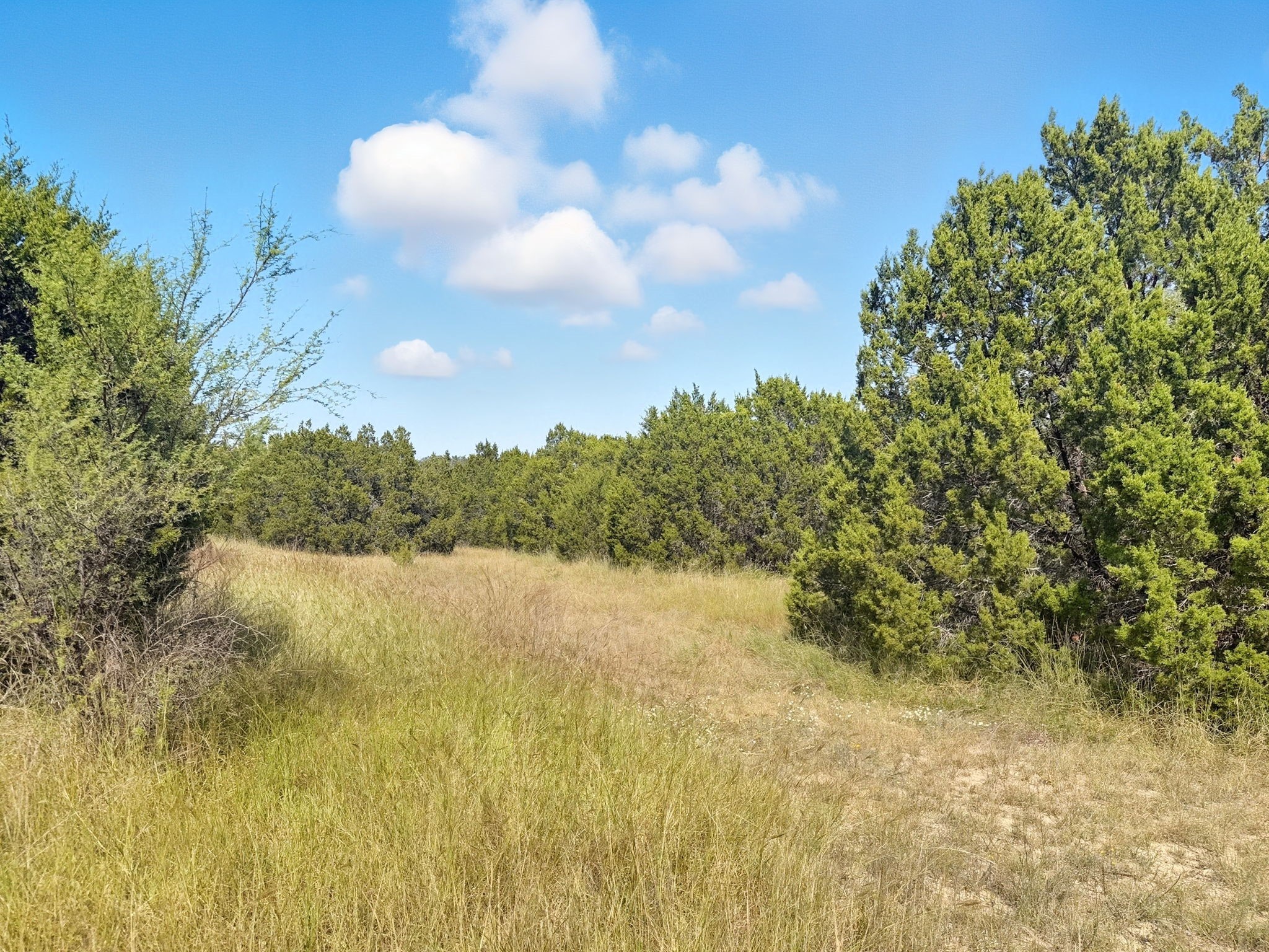 Lot 2 Ph 3 Pr 42110 Evant TX 76525
