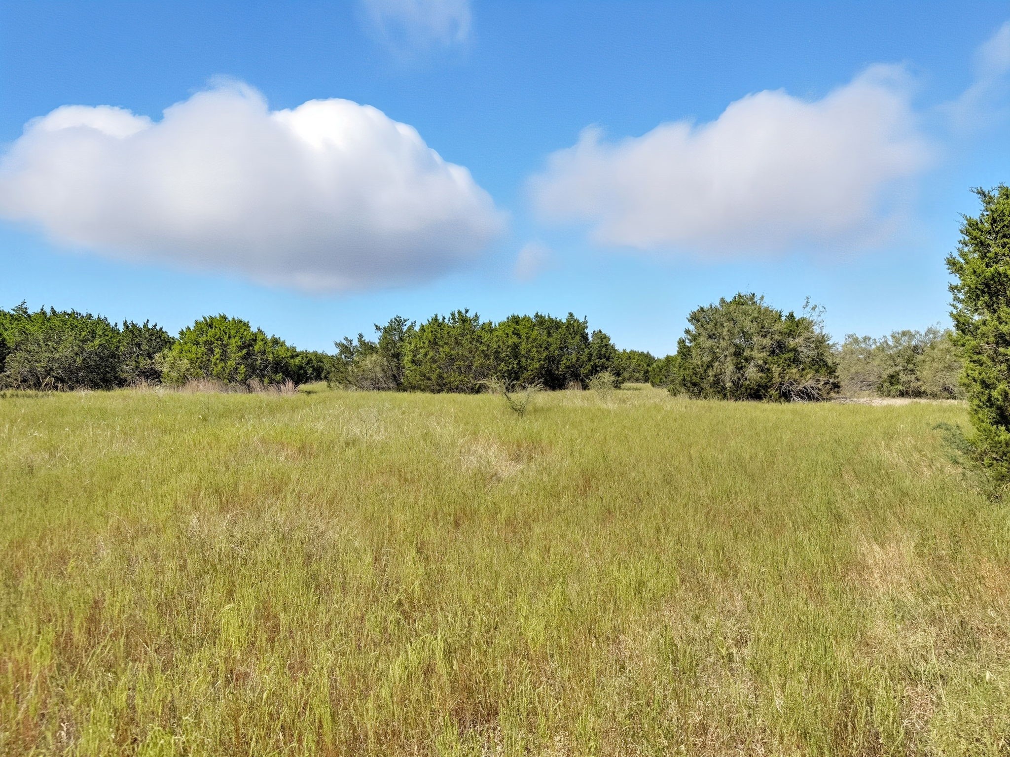 Lot 2 Ph 3 Pr 42110 Evant TX 76525