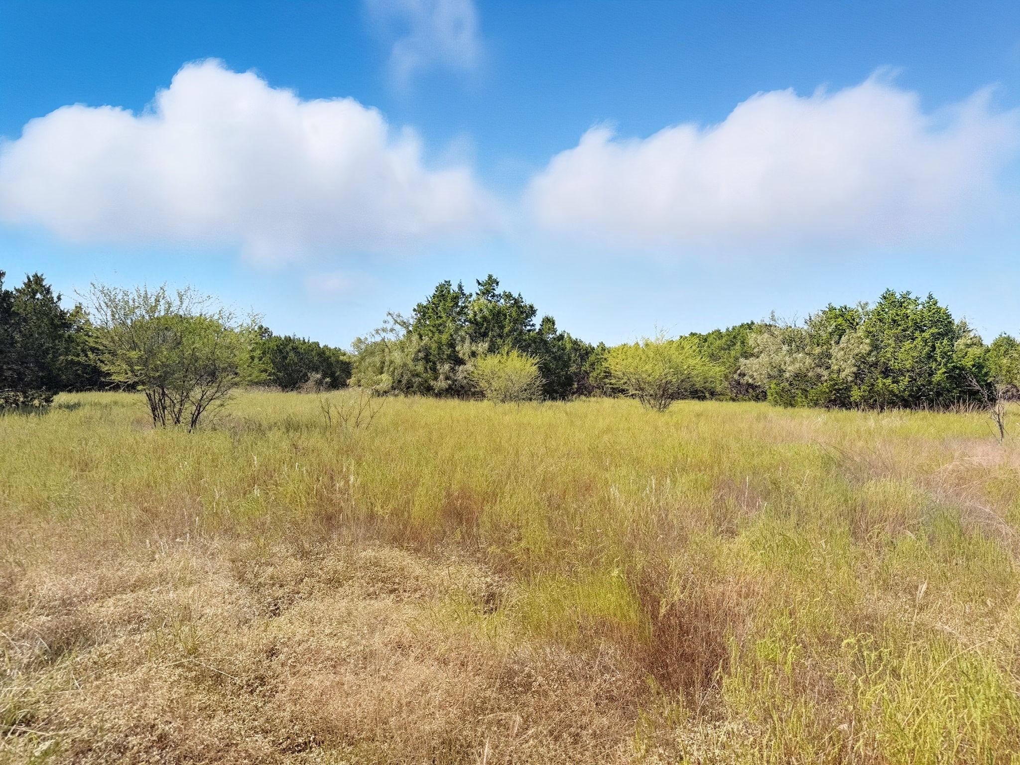 Lot 2 Ph 3 Pr 42110 Evant TX 76525