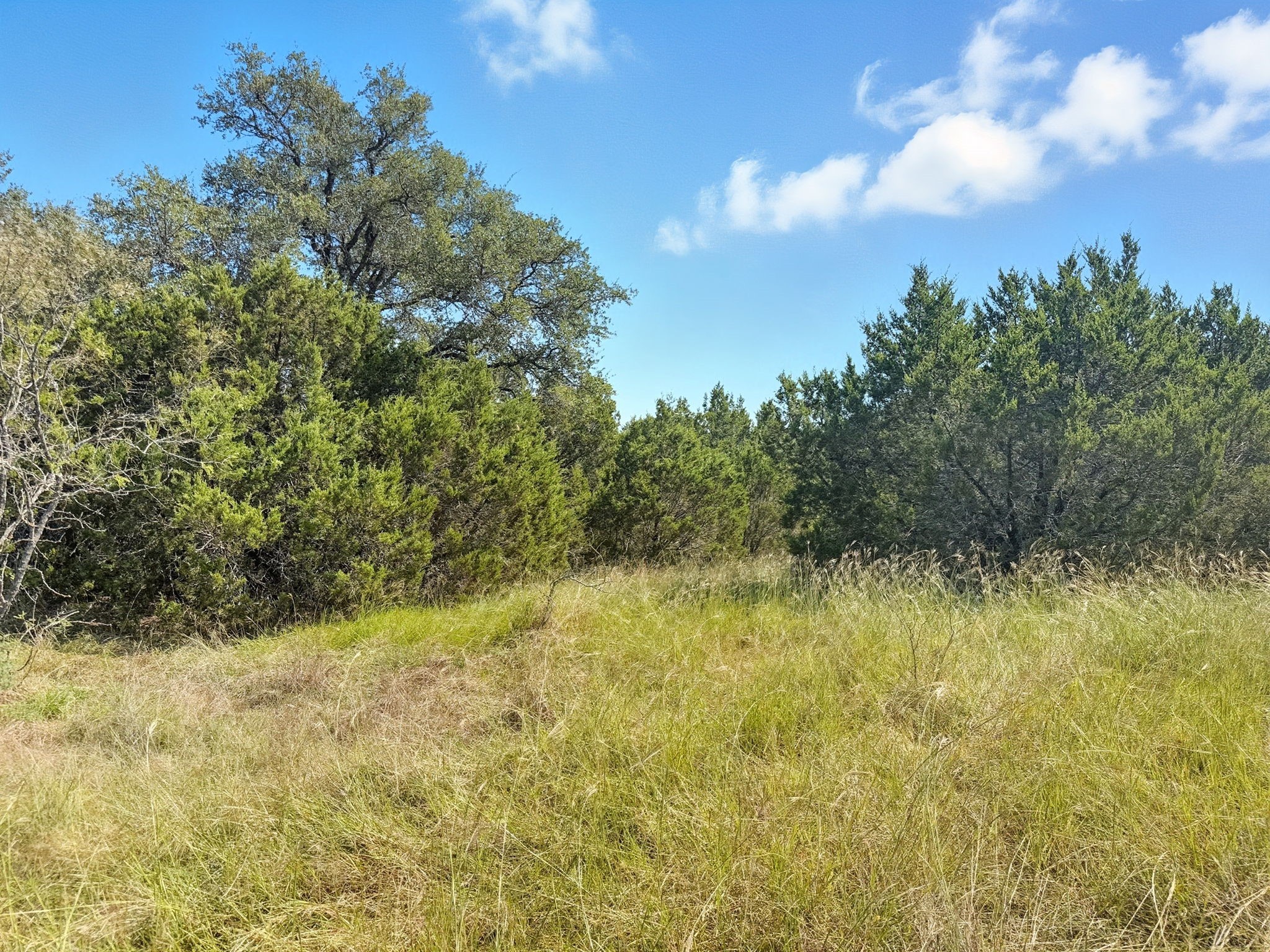 Lot 2 Ph 3 Pr 42110 Evant TX 76525