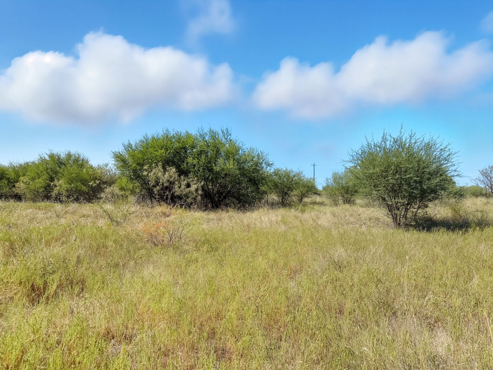 Lot 2 Ph 3 Pr 42110 Evant TX 76525