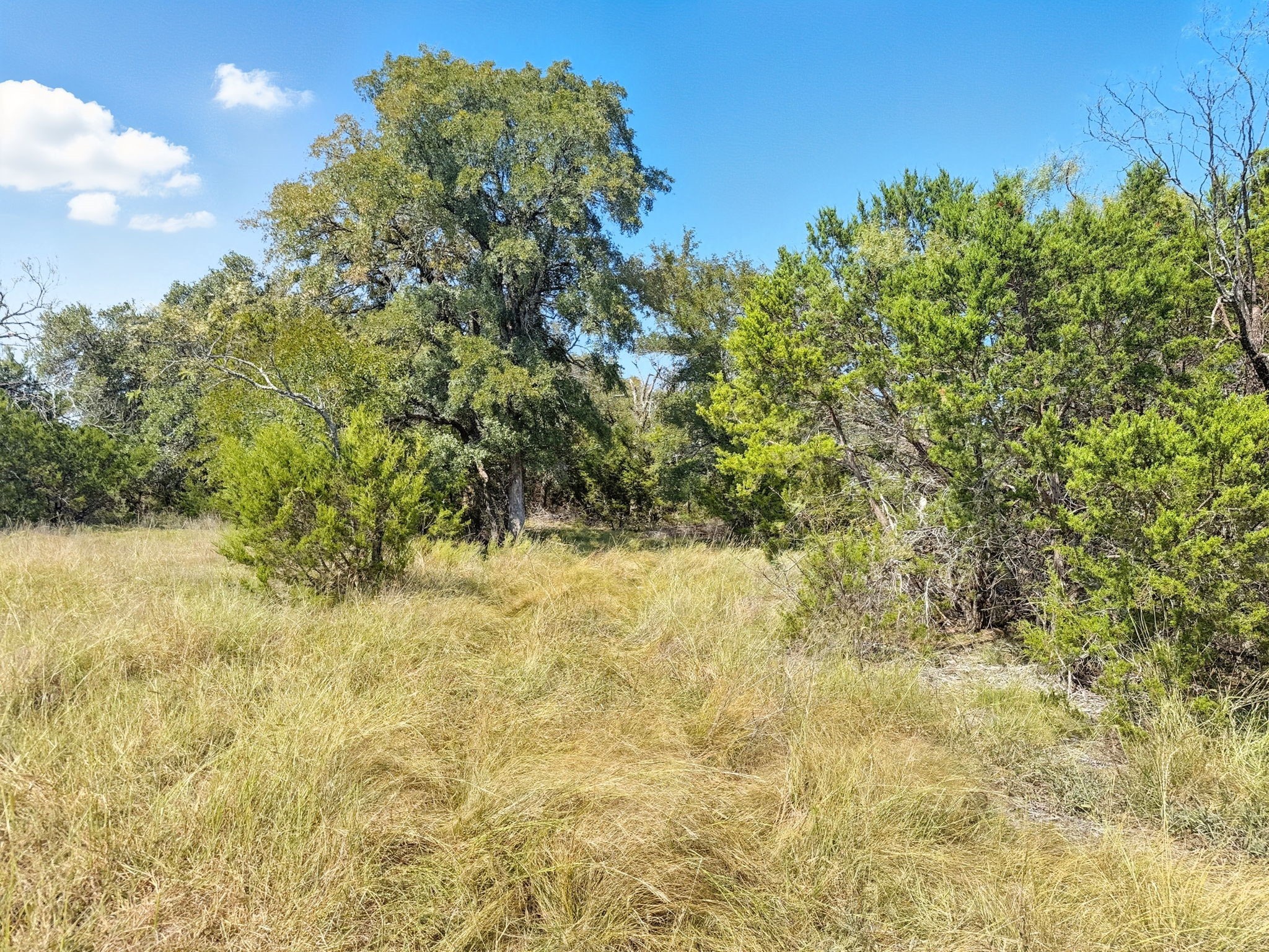 Lot 2 Ph 3 Pr 42110 Evant TX 76525