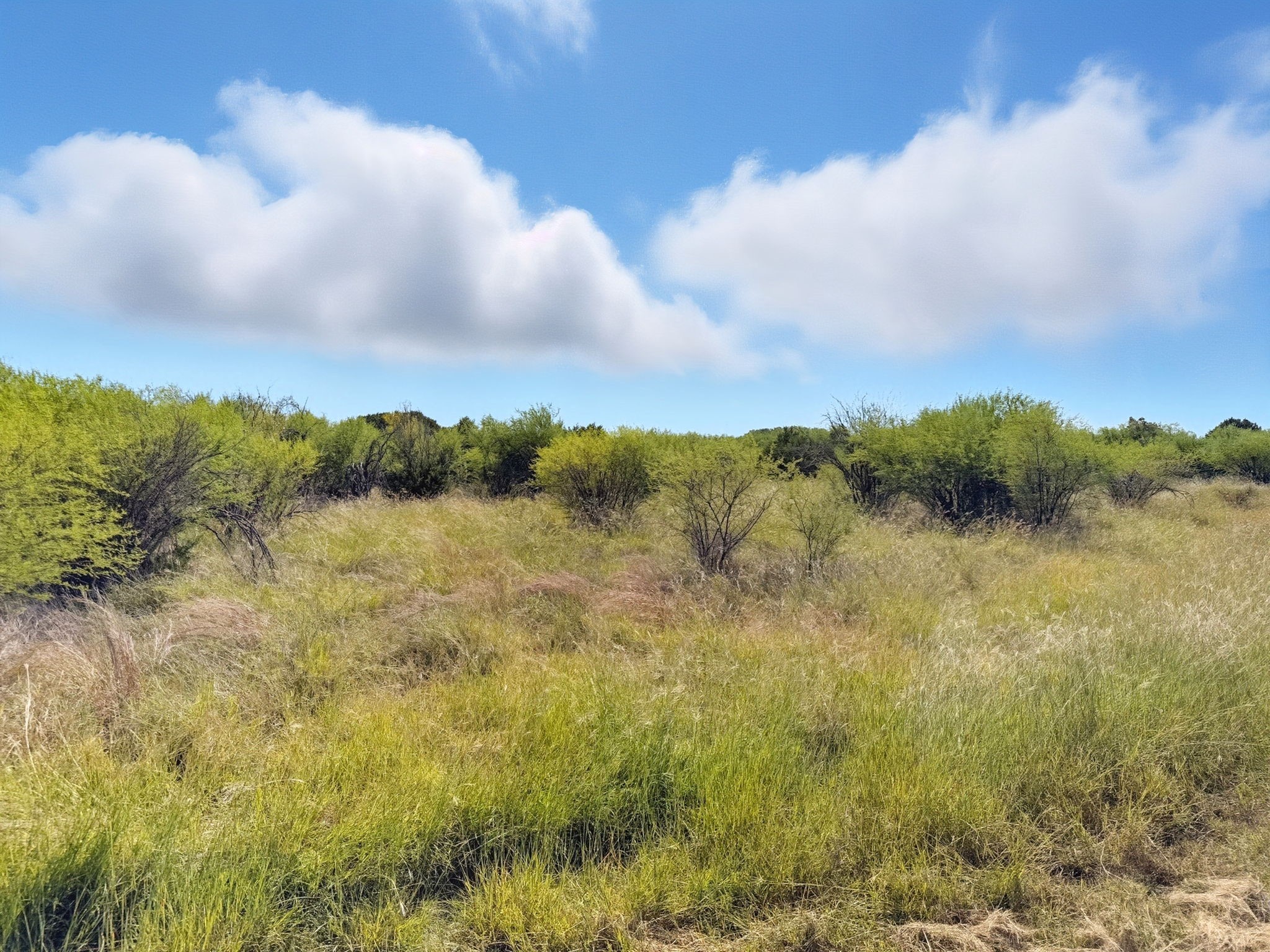 Lot 2 Ph 3 Pr 42110 Evant TX 76525