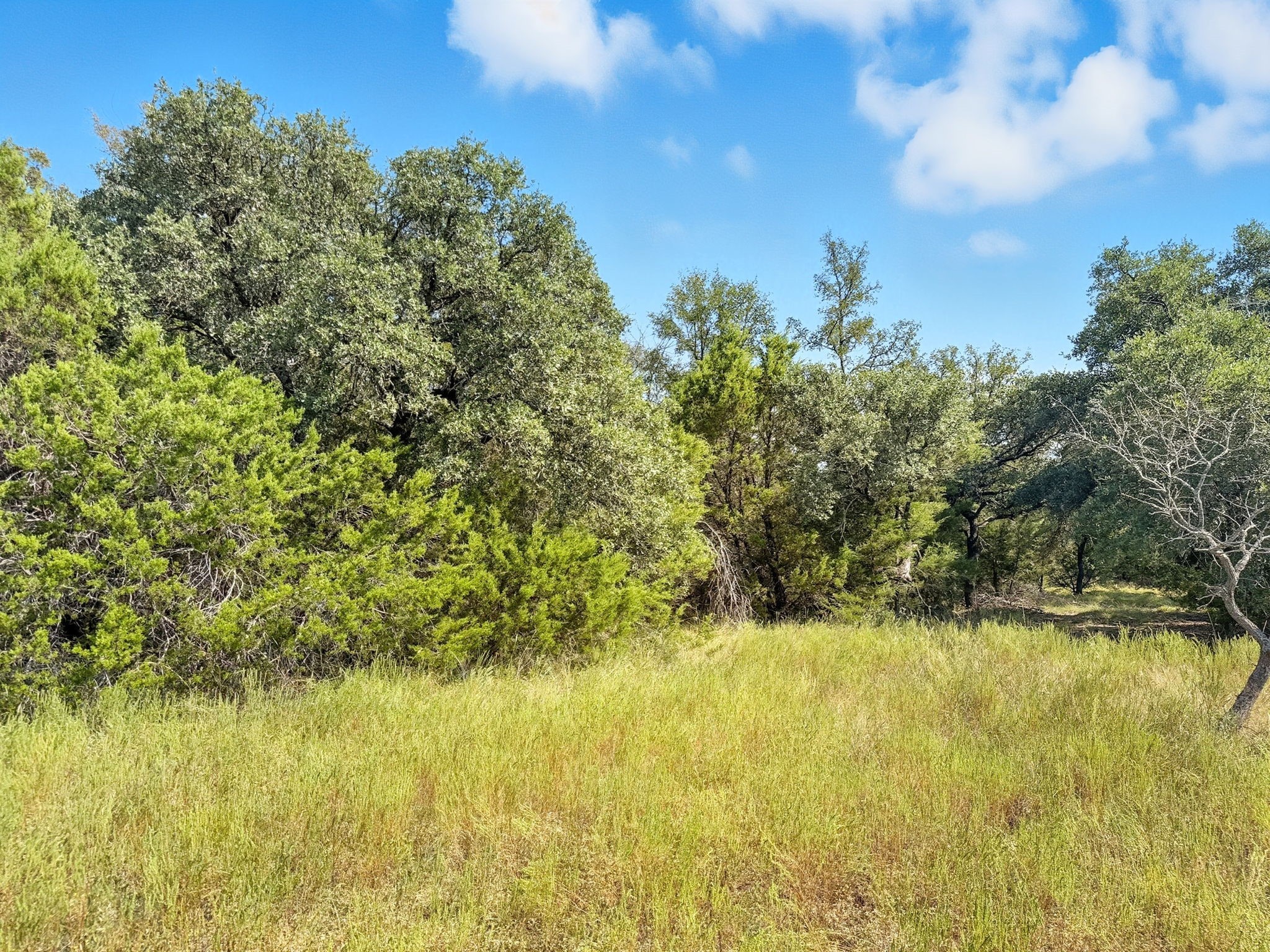 Lot 2 Ph 3 Pr 42110 Evant TX 76525