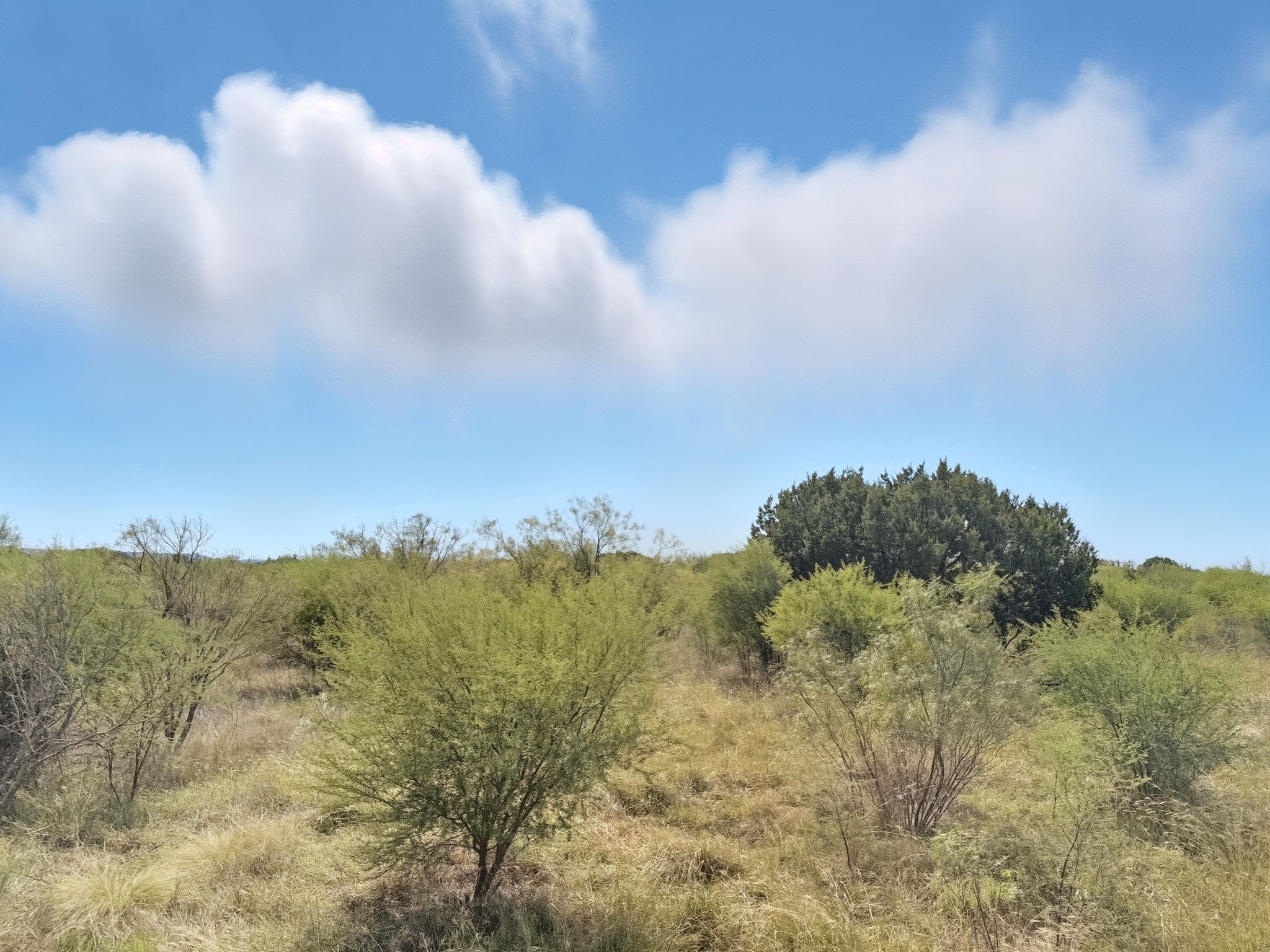 Lot 2 Ph 3 Pr 42110 Evant TX 76525