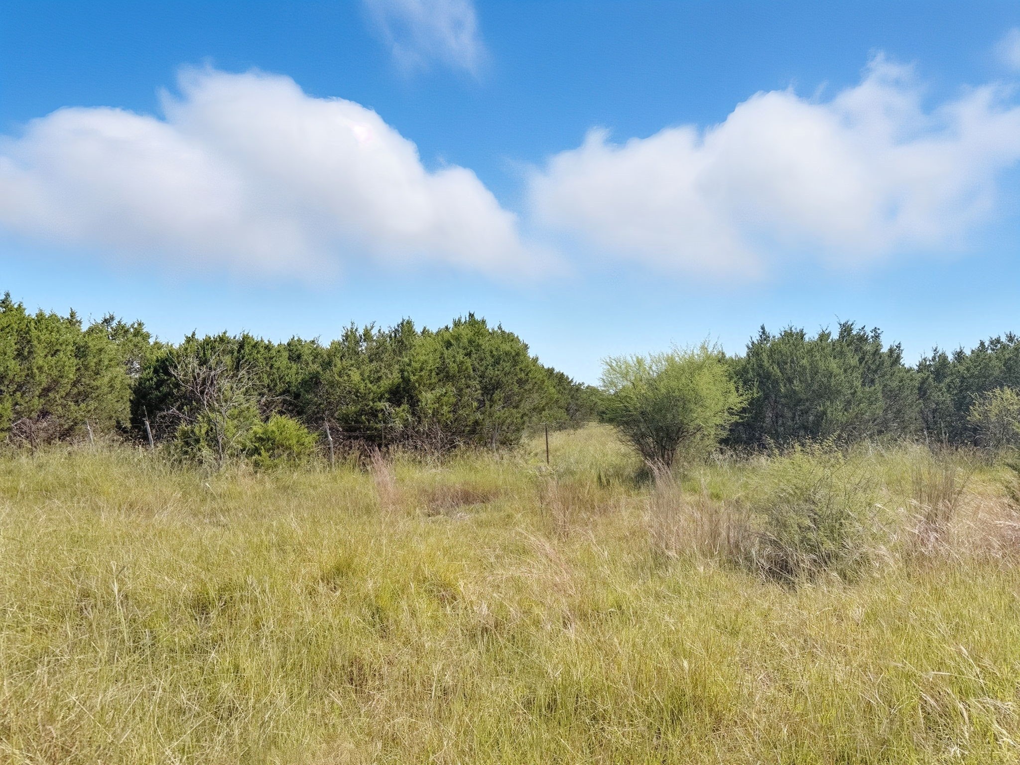 Lot 2 Ph 3 Pr 42110 Evant TX 76525