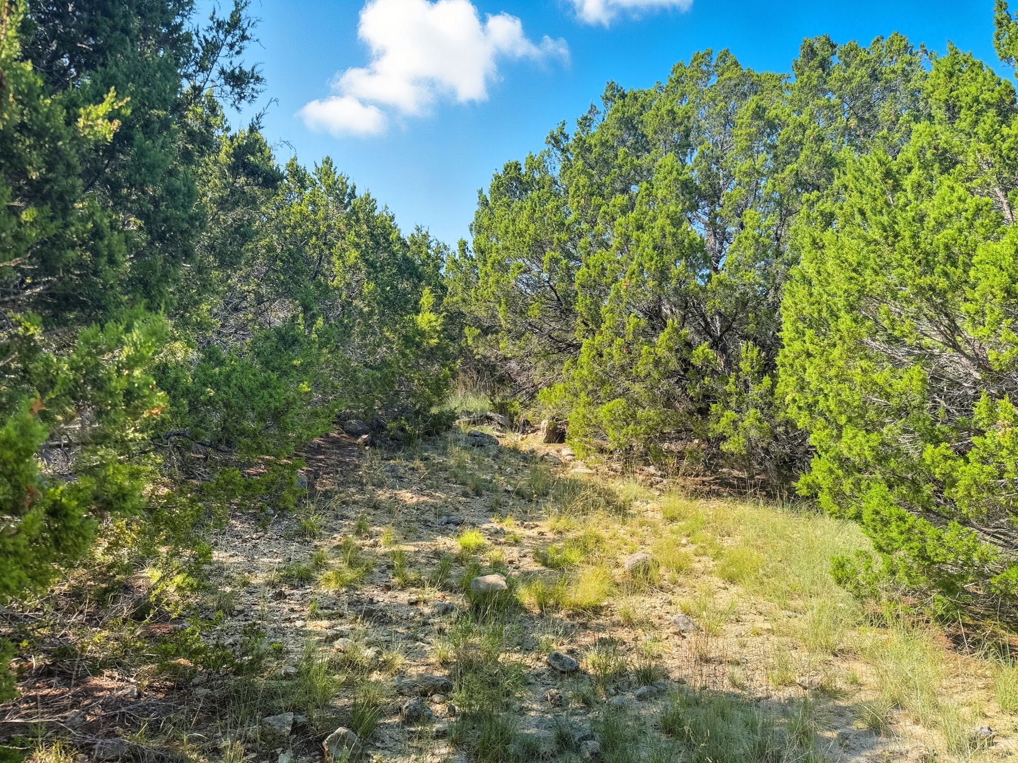 Lot 2 Ph 3 Pr 42110 Evant TX 76525