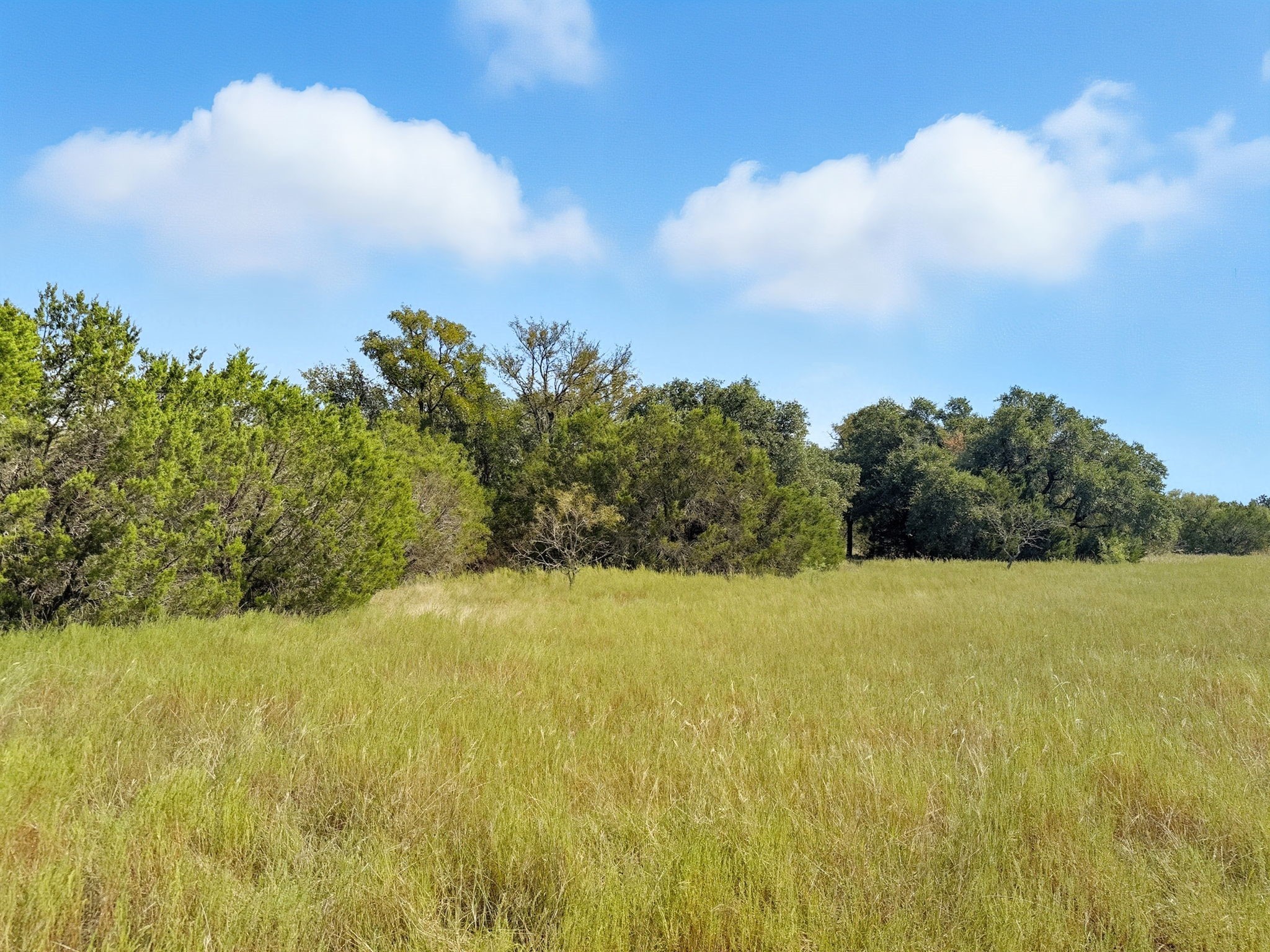 Lot 2 Ph 3 Pr 42110 Evant TX 76525
