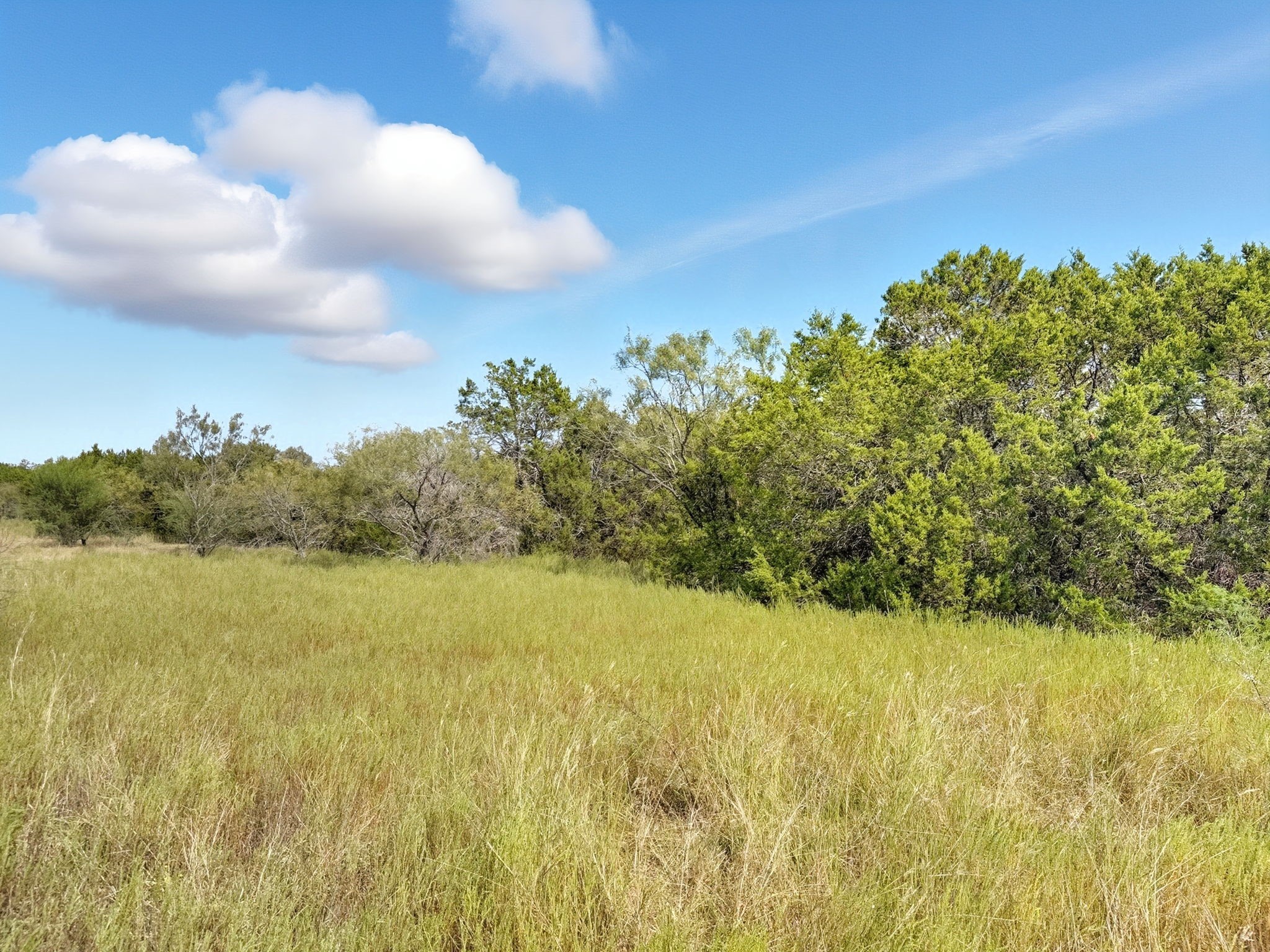 Lot 2 Ph 3 Pr 42110 Evant TX 76525