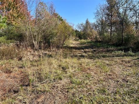 Tbd County Road 4200 Winnsboro TX 75494