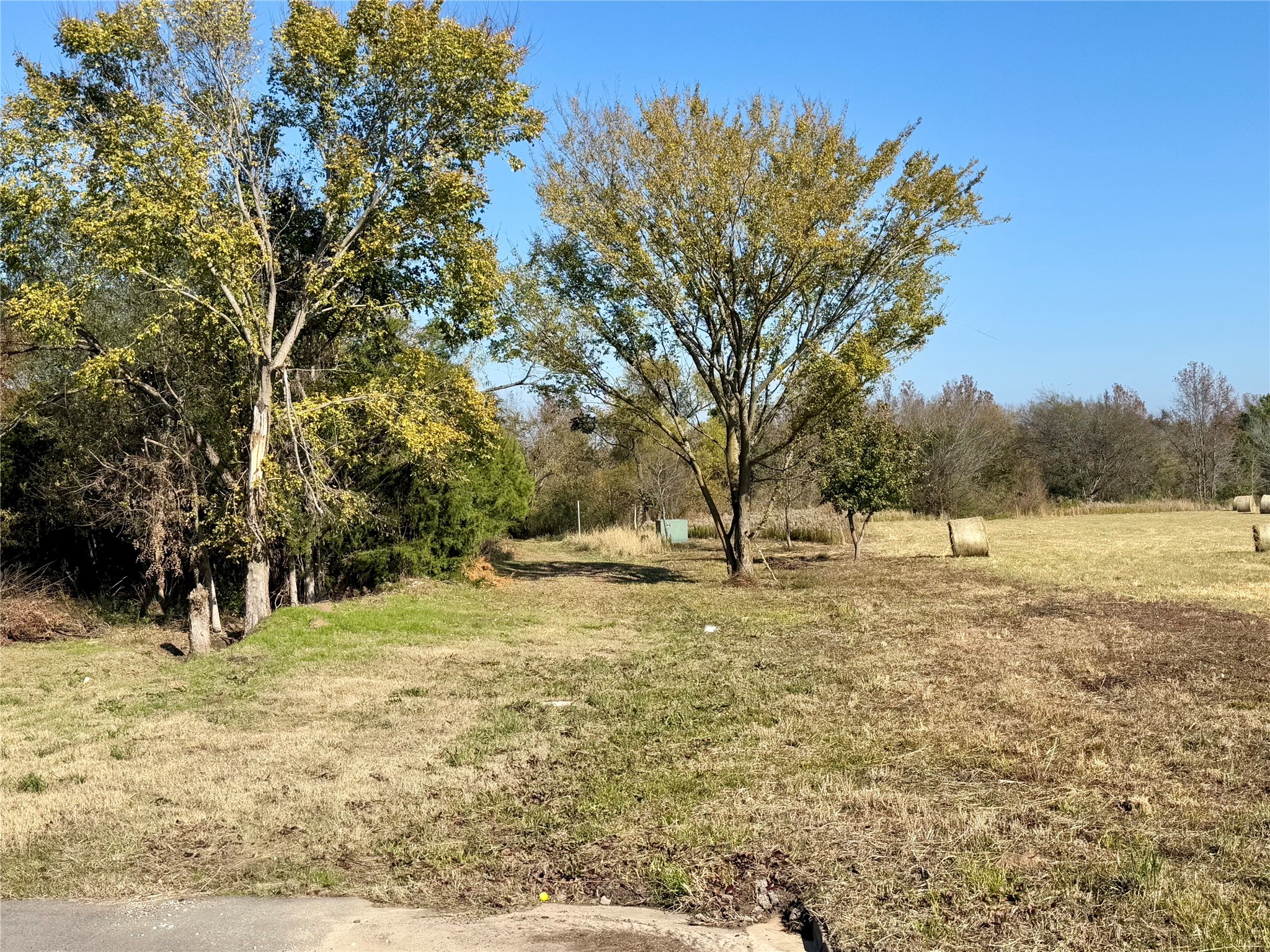 Tbd County Road 4200 Winnsboro TX 75494