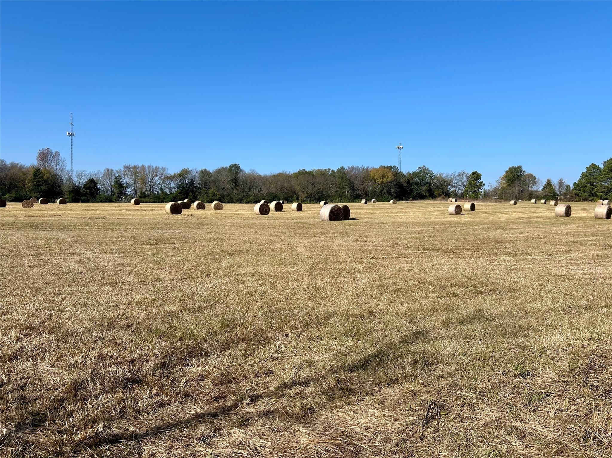 Tbd County Road 4200 Winnsboro TX 75494