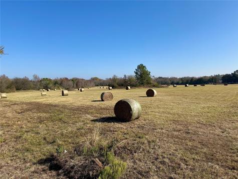 Tbd County Road 4200 Winnsboro TX 75494