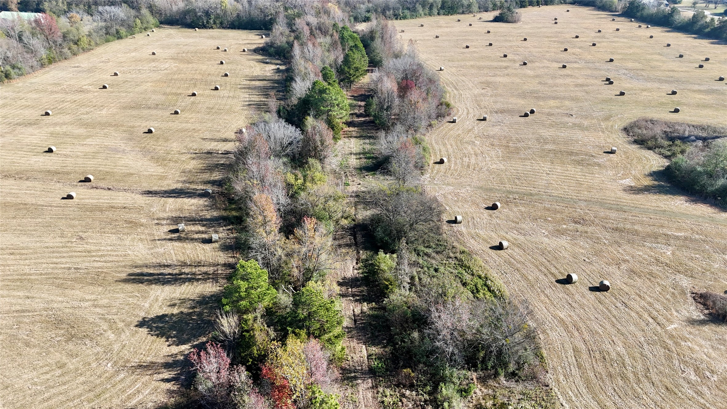 Tbd County Road 4200 Winnsboro TX 75494