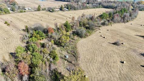 Tbd County Road 4200 Winnsboro TX 75494